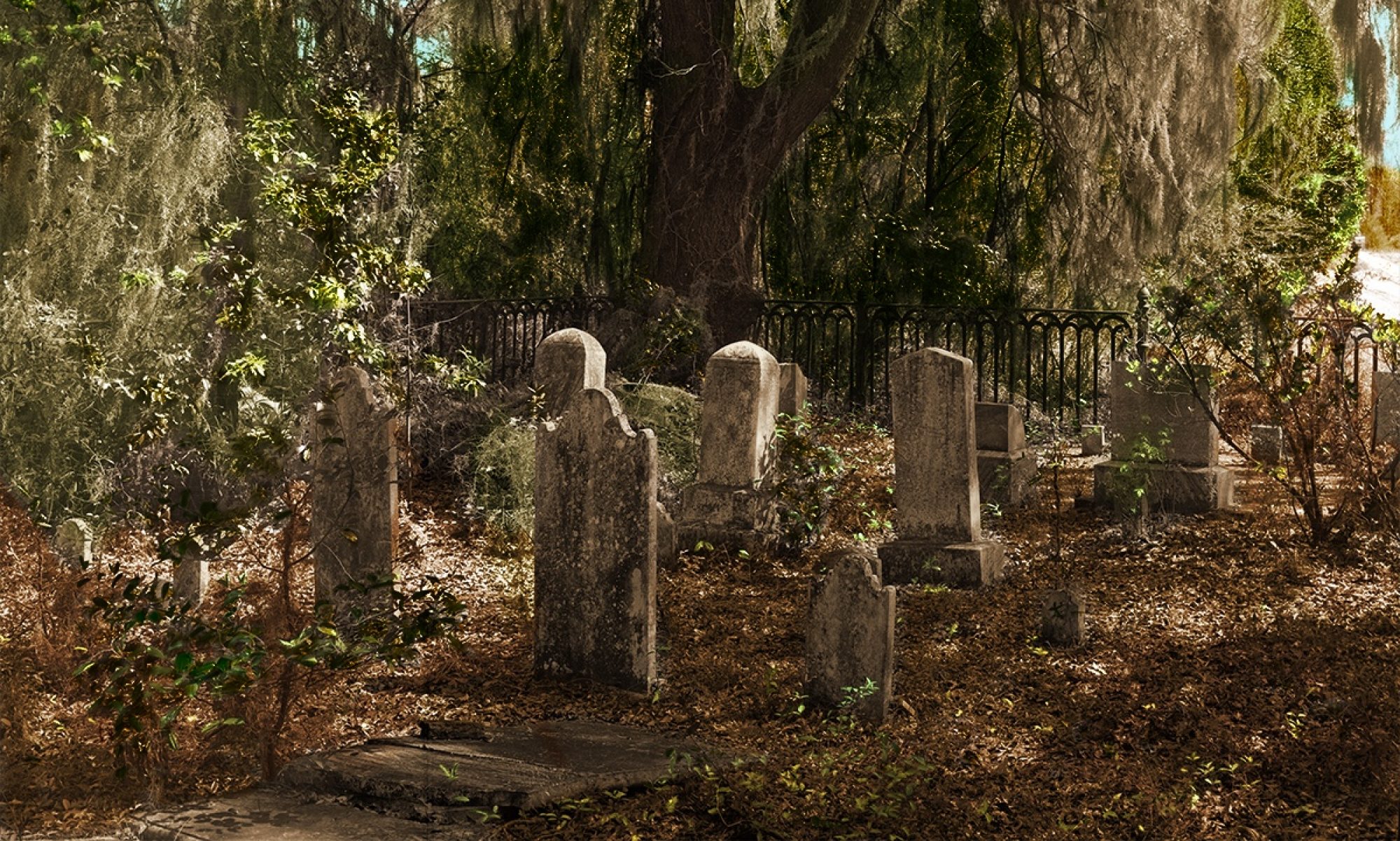 The Cemeteries of the SRS